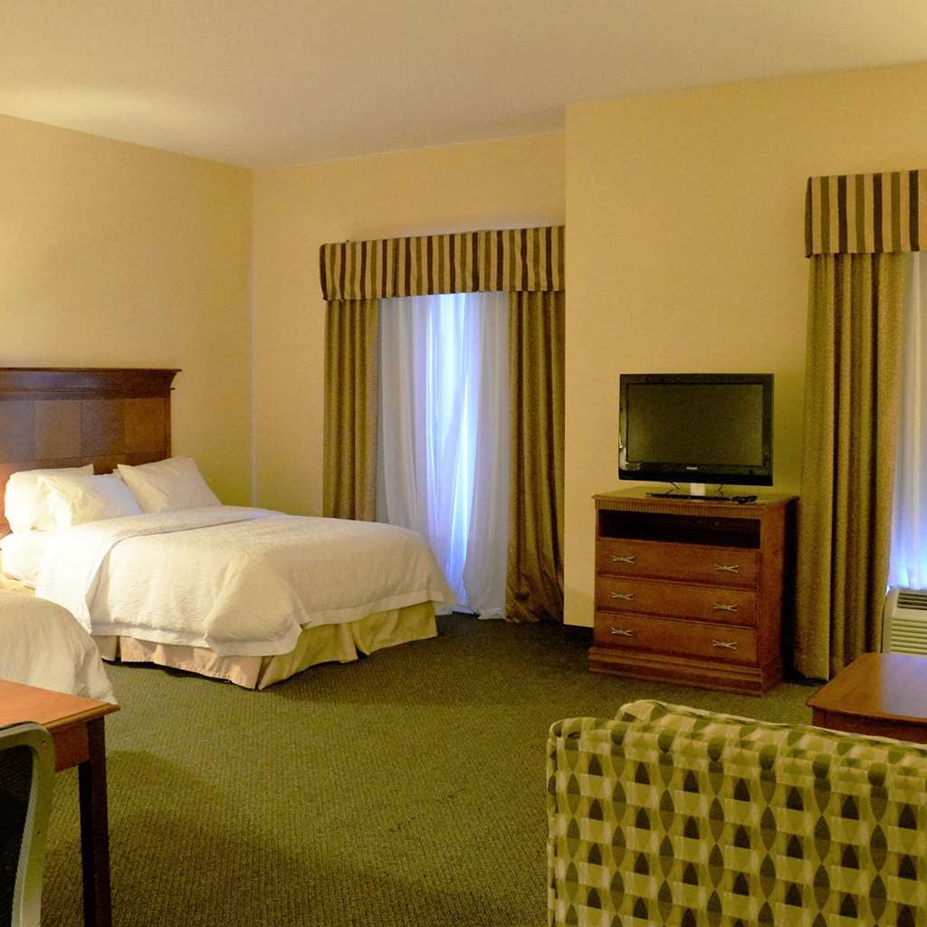 Hampton Inn & Suites Birmingham-Hoover-Galleria Номер фото